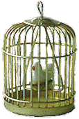 Photo: Bird in cage - for the dollhouse