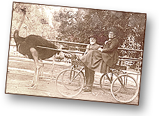 Charlotte Yhlen sitter i en minimal vagn med stora hjul. Vagnen dras av en stor strut. Tinius står bredvid