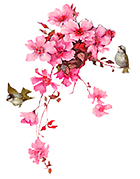 Teckning av körsbärsblommor och två små fåglar