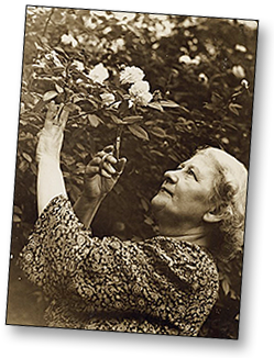 Foto av Adela Pankhurst på äldre dar i sin trädgård