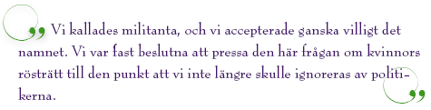 Vi kallades militanta, och vi accepterade ganska villigt det namnet. Vi var fast beslutna att pressa den här frågan till den punkt att vi inte längre skulle ignoreras av politikerna.