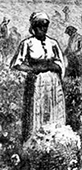 Illustration av slavflicka som står bakom en bomullskorg