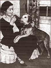 Foto av äldre Mabel som sitter på en pall och leker med en stor hund