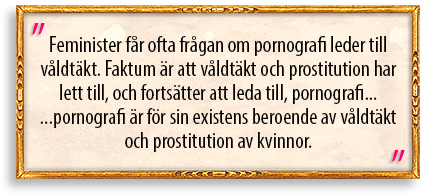 Citat inom smal guldram: "Feminister får ofta frågan om pornografi leder till våldtäkt. Faktum är att våldtäkt och prostitution har lett till, och fortsätter leda till, pornografi... ...pornografi är för sin existens beroende av våldtäkt och prostitution av kvinnor."