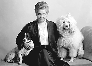 Foto av kvinna som sitter på en soffliknande sak med en hund på vardera sidan, hon håller armarna om hundarna och ser in i kameran