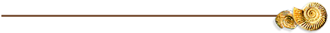 Avdelare i form av en brun linje med  två snäckor till höger