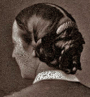 Foto av en kvinnas huvud med håruppsättning sett bakifrån