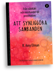 Omslag till häftet "Att synliggöra sambanden"