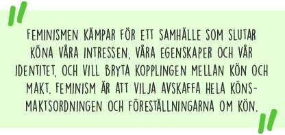 Citat: Feminismen kämpar för ett samhälle som slutar köna våra intressen, våra egenskaper och vår identitet, och vill bryta kopplingen mellan kön och makt. Feminism är att vilja avskaffa hela könsmaktsordningen och föreställningarna om kön.