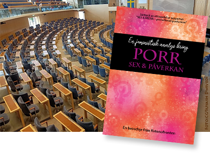 Foto av riksdagens plenisal i bakgrunden och Kvinnofrontens broschyr "En feministisk analys kring porr, sex & påverkan" i förgrunden
